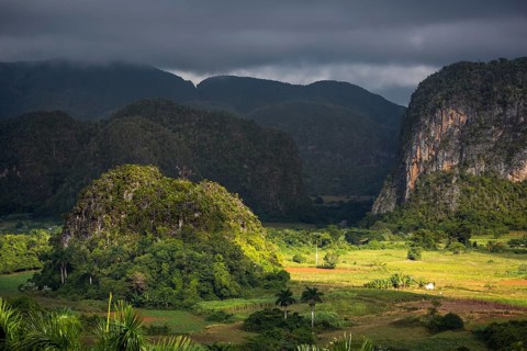 Tobacco fields and the mountains of the Mogotes, Viñales valley with karst mountains, Viñales,