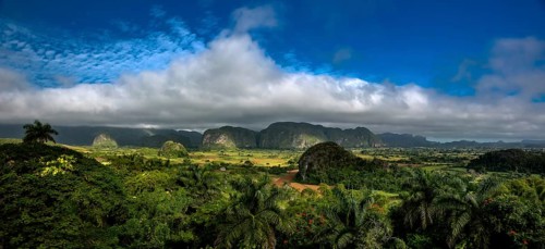 Tobacco fields and the mountains of the Mogotes, Viñales valley with karst mountains, Viñales,
