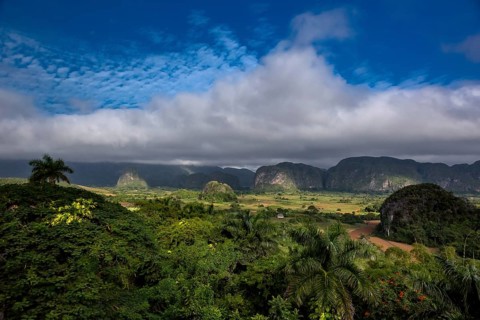 Tobacco fields and the mountains of the Mogotes, Viñales valley with karst mountains, Viñales,
