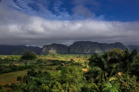 Tobacco fields and the mountains of the Mogotes, Viñales valley with karst mountains, Viñales,
