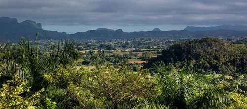Tobacco fields and the mountains of the Mogotes, Viñales valley with karst mountains, Viñales,