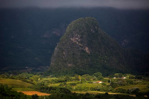 Tobacco fields and the mountains of the Mogotes, Viñales valley with karst mountains, Viñales,