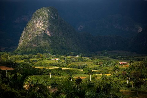 Tobacco fields and the mountains of the Mogotes, Viñales valley with karst mountains, Viñales,