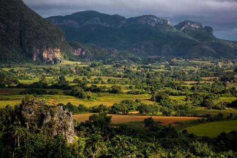 Tobacco fields and the mountains of the Mogotes, Viñales valley with karst mountains, Viñales,