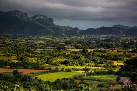 Tobacco fields and the mountains of the Mogotes, Viñales valley with karst mountains, Viñales,