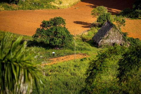 Farmhouse, farm cottage, barn for drying tobacco leaves, tobacco fields and the mountains of the