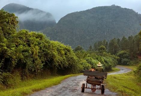 Horse-drawn carts on the lonely road to Vinales in the Vinales Valley, Viñales, Cuba, Pinar del Río
