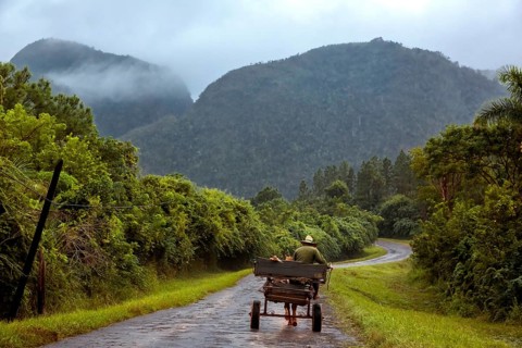 Horse-drawn carts on the lonely road to Vinales in the Vinales Valley, Viñales, Cuba, Pinar del Río