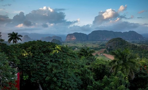 Tobacco fields and the mountains of the Mogotes, Viñales valley with karst mountains, Viñales,