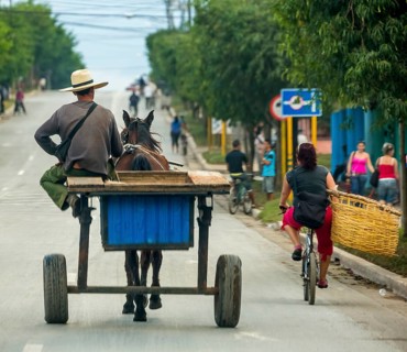 One-horse carriage on the road seen from behind, Cuban with big hat, Viñales, Cuba, Pinar del Río