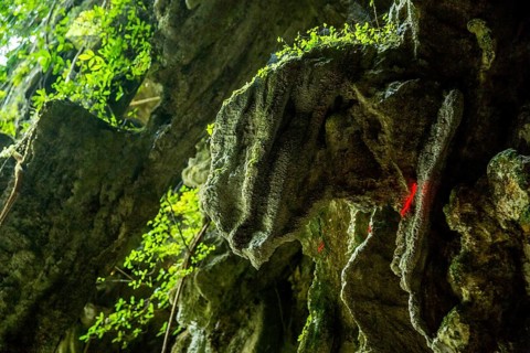 Dinosaur head on the cave walls, caves of the Indios, Cueva del Indio, underground caves with a