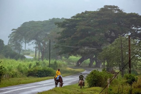 Rider on the rainy country road in Vinales, Viñales, Cuba, Pinar del Río