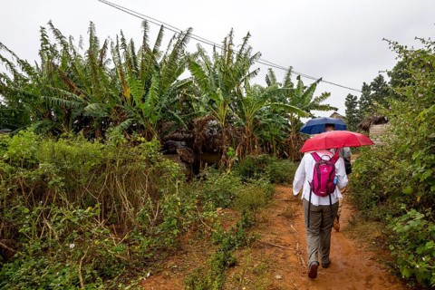Viñales, Cuba, Pinar del Río, Viñales, Pinar del Río