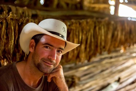 Tobacco farmer, tobacco farmer Luis Manne Alvares Rodrigues on his tobacco farm in the Vinales
