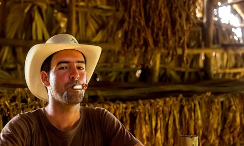 Tobacco farmer, tobacco farmer Luis Manne Alvares Rodrigues smokes a Havana cigar, tobacco farm in