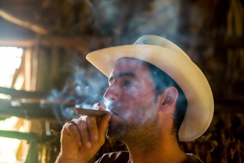 Tobacco farmer, tobacco farmer Luis Manne Alvares Rodrigues smokes a Havana cigar, tobacco farm in