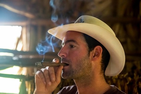 Tobacco farmer, tobacco farmer Luis Manne Alvares Rodrigues smokes a Havana cigar, tobacco farm in