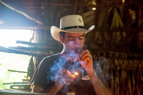Tobacco farmer, tobacco farmer Luis Manne Alvares Rodrigues lights a Havana cigar, tobacco farm in