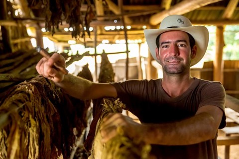 Tobacco farmer, tobacco farmer Luis Manne Alvares Rodrigues smokes a Havana cigar, tobacco farm in