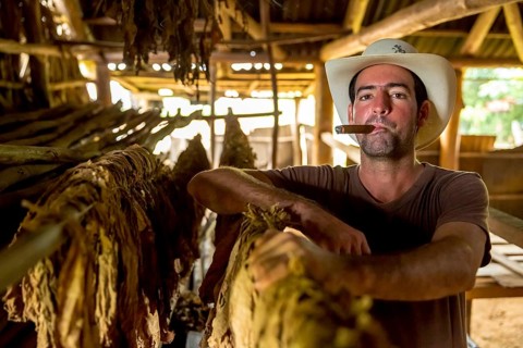 Tobacco farmer, tobacco farmer Luis Manne Alvares Rodrigues smokes a Havana cigar, tobacco farm in