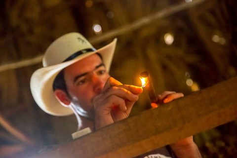 Tobacco farmer, tobacco farmer Luis Manne Alvares Rodrigues lights a Havana cigar, tobacco farm in
