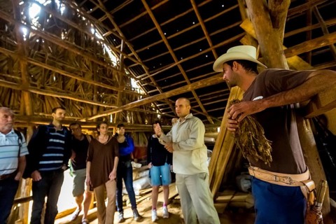 Tobacco farmer Luis Manne Alvares Rodrigues explains tobacco growing to a group of tourists, drying