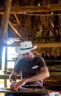 Tobacco farmer, tobacco farmer Luis Manne Alvares Rodrigues cuts and rolls a cigar from a tobacco