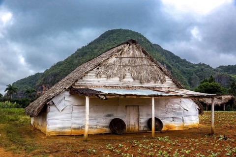 Drying barn for tobacco leaves in the Vinales Valley with hills, Viñales, Cuba, Pinar del Río,