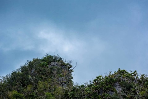 Hilly landscape in the Vinal Valley, Cuba, Pinar del Río, Cuba, Pinar del Río