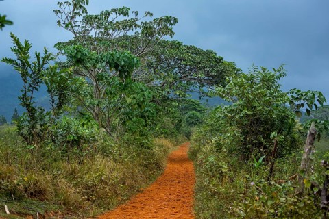Field path through the Vinale Valley with red earth, Red earth, Path, Clay path, Cuba, Pinar del