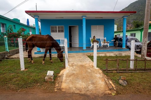 Private house with a horse in the front garden, Viñales, Cuba, Pinar del Río, Cuba, Viñales, Pinar