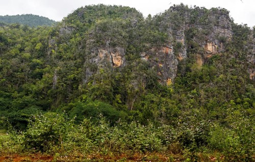 Karst mountains in the Vinales Valley, Viñales, Cuba, Pinar del Río, Cuba, Viñales, Pinar del Río