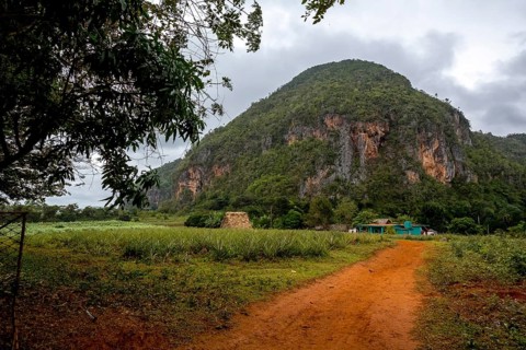 Red earth, finca, farmhouse below the overgrown hills in the Vinales Valley, Viñales, Cuba, Pinar