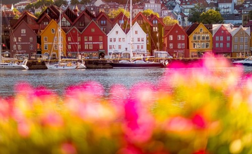 Colourful row of houses in the harbour of the city of Bergen, sailing ships, Hordaland, Norway,