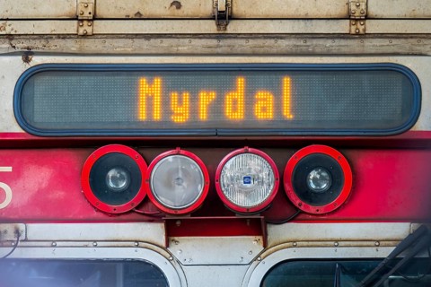 Train at Bergen station, inscription Myrdal, headlights, Hordaland, Norway, Scandinavia, Europe,