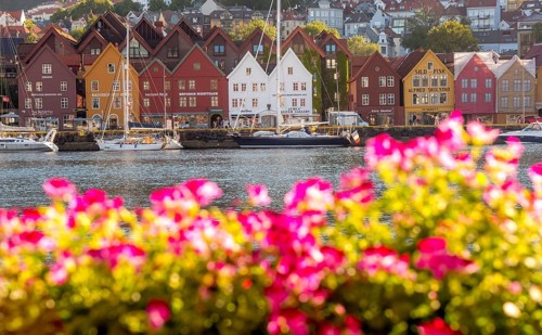Colourful row of houses in the harbour of the city of Bergen, sailing ships, Hordaland, Norway,
