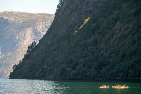 Tourists in yellow kayaks, fjord, Nærøyfjorden, rock face with forest, Styvi, Sogn og Fjordane,
