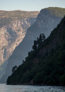 Rock faces, trees, fjord, Nærøyfjorden, Styvi, Sogn og Fjordane, Norway, Scandinavia, Europe, NOR,