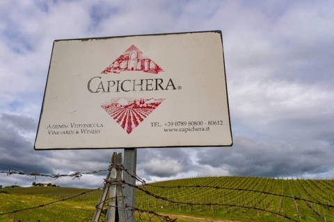 Sardinia, Azienda Vitivinicola, winery and vineyards, Coddu Vecchiu, Arzachena, Europe, province of