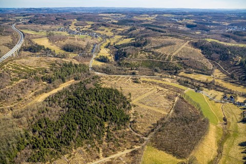 Aerial photo, forest area with forest damage Sankt-Helenen-Straße on the A4 motorway, Gerlingen,
