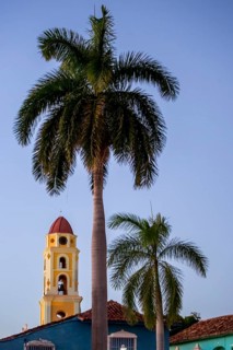 Church Convento de San Francisco de Asis of Trinidad with palm trees in the blue hour, Trinidad,