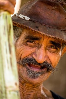 Sugar cane farmer in the Valle de los Ingenios with sugar cane stalks, Trinidad, Cuba, Sancti