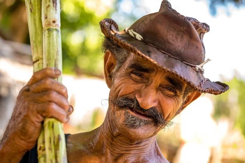 Sugar cane farmer in the Valle de los Ingenios with sugar cane stalks, Trinidad, Cuba, Sancti