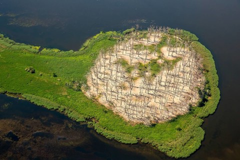 Gardzka KÄ™pa peninsula, PoÅ'chowo, Dusin, Baltic Sea coast, Województwo zachodniopomorskie,