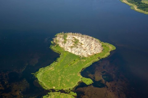 Gardzka KÄ™pa peninsula, PoÅ'chowo, Dusin, Baltic Sea coast, Województwo zachodniopomorskie,