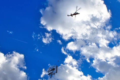 A helicopter transports a tree under a sunny, cloudy sky, transport helicopter, timber transport,