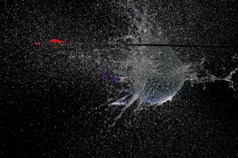 An arrow pierces a water balloon and creates a spectacular water spray explosion against a black