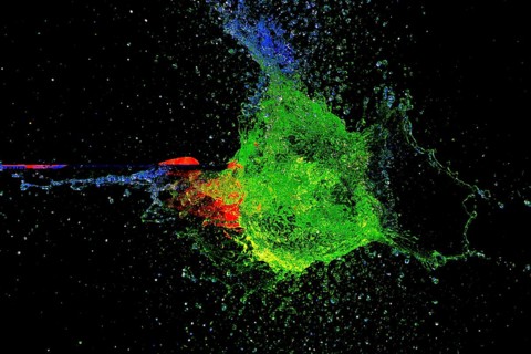 A vivid, explosive clash of green and red as an arrow pierces a water balloon, high-speed shot,