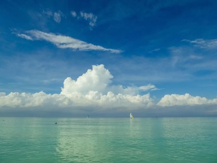 Sailing boat with pelican at the harbour of the hotel PARADISUS VARADERO RESORT SPA, Varadero,