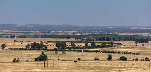 Barren landscape around Evora, Evora, Évora district, Portugal